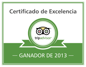 Excellence-Badge_2013_es